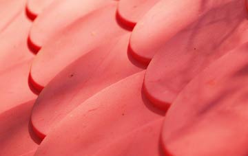 Carthorpe plastic roof costs